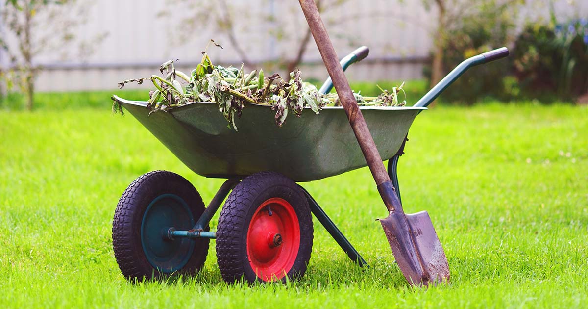 Wheelbarrow full of yard debris