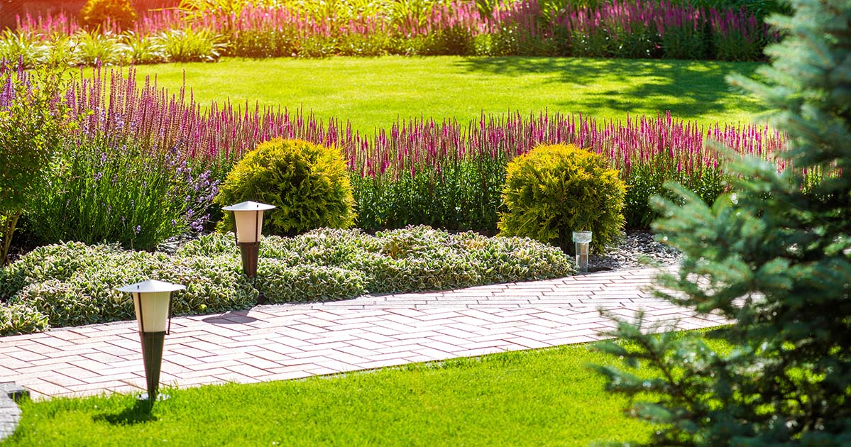 yard space with solar lights