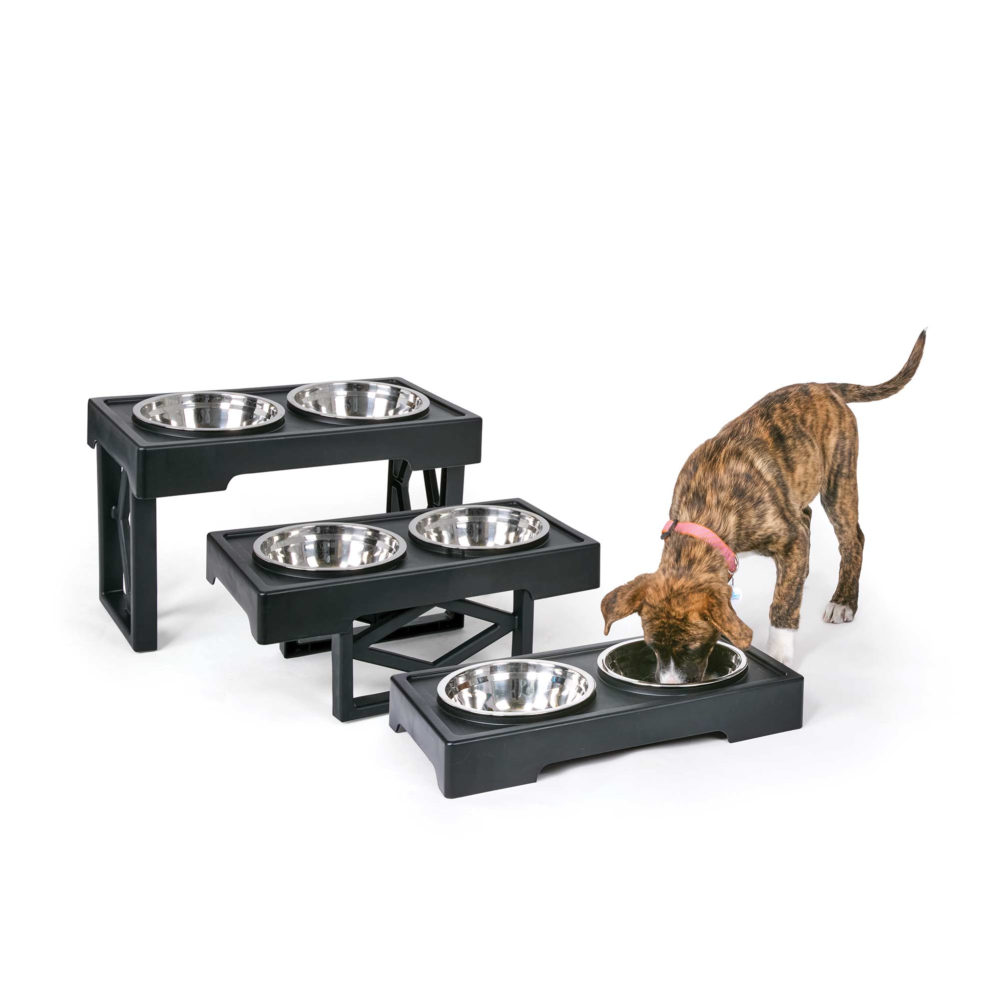 Adjustable/Elevated Pet Bowl